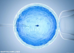 有偿同志供卵咨询怎么找生殖中心